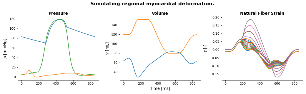 ../../../_images/tutorial_regional_myocardial_mechanics.png