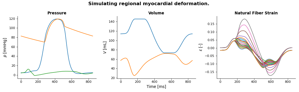 ../../../_images/tutorial_regional_myocardial_mechanics.png